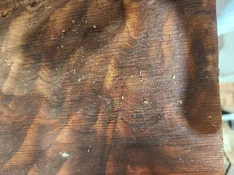 20260825_121821.webp