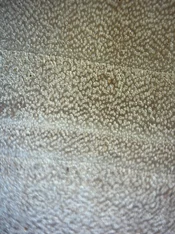 IMG_0493.webp