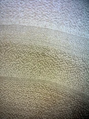IMG_0492.webp
