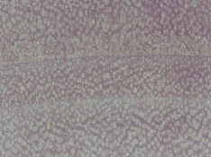20260826-115308.webp
