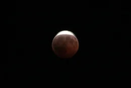 partial lunar eclipse 2026 closeup.webp