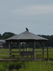20260828_112722.webp
