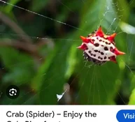 Screenshot_20260912-162432~2.webp