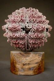 Koch-Entry2-Image1-%22SeaCreature9%22.webp