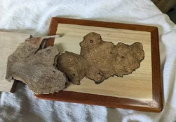 lid showing how burl was cut.webp