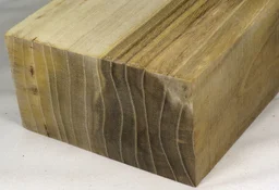 pistachio, chinese 1 end grain s100 plh.webp