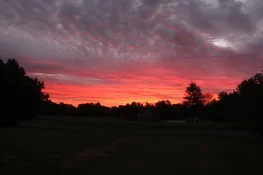 IMG_8107.webp