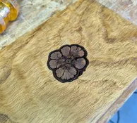 chrysanthemum cookie wipe on poly.webp