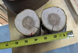 crab apple cut in half.webp