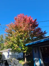 20261020_150115.webp