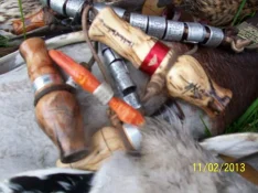 000_6602.webp