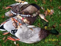 000_6603.webp