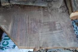 striped walnut 001.webp