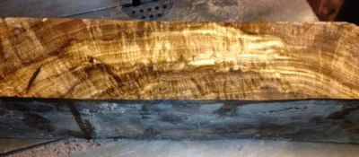white oak burl.webp