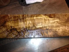 white oak burl 2.webp