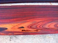 Resized Wood Photo 1.webp