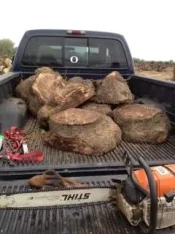 small burls.webp