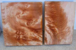 wood pic 1.webp