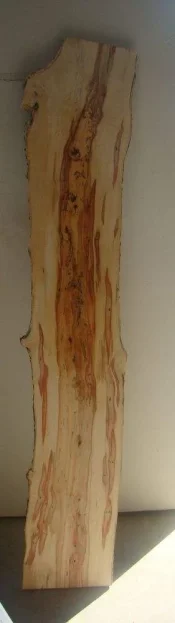 aSpaltedFBEFlitch3.webp