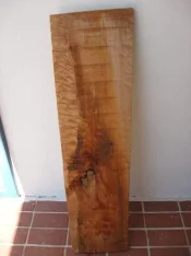 resized wood 4.webp