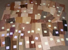 PHindsVeneer.webp