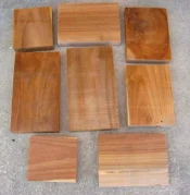 teak 1.webp