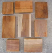 teak 2.webp