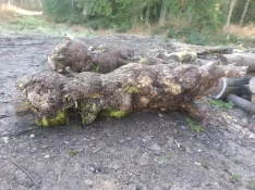 20130325_100807(3).webp