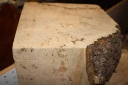 maple burl block4.webp