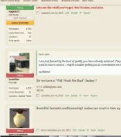 Online Status4.webp