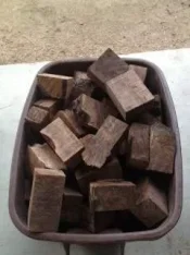 photo.webp