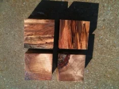 sweetgum 2b.webp