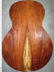 TasmanianBlackwoodBack.webp