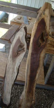 SpaltedWalnut3.webp