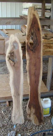 SpaltedWalnut4.webp