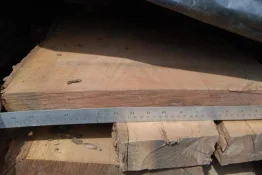 platter blanks 001s.webp