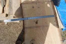 platter blanks 004s.webp