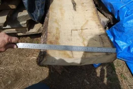 platter blanks 006s.webp