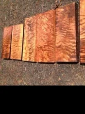 Redwood.webp
