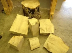 Sycamore 4.webp