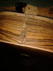 image.webp