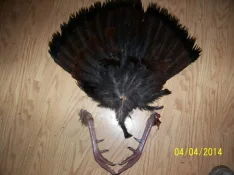 000_7582.webp