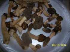 000_8017.webp