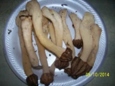 000_8019.webp