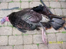 000_8029.webp