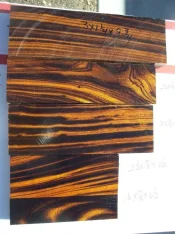100_0329.webp