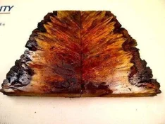 tn_MangoBurl 2.webp