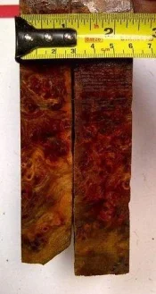 tn_MangoBurl 3.webp