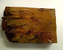 tn_IMG-20120617-00152.webp