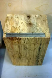 spalted maple 001.webp